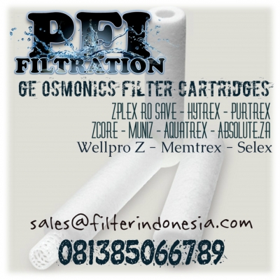 GE Osmonics Purtrex Filter Cartridges Indonesia large2.jpg